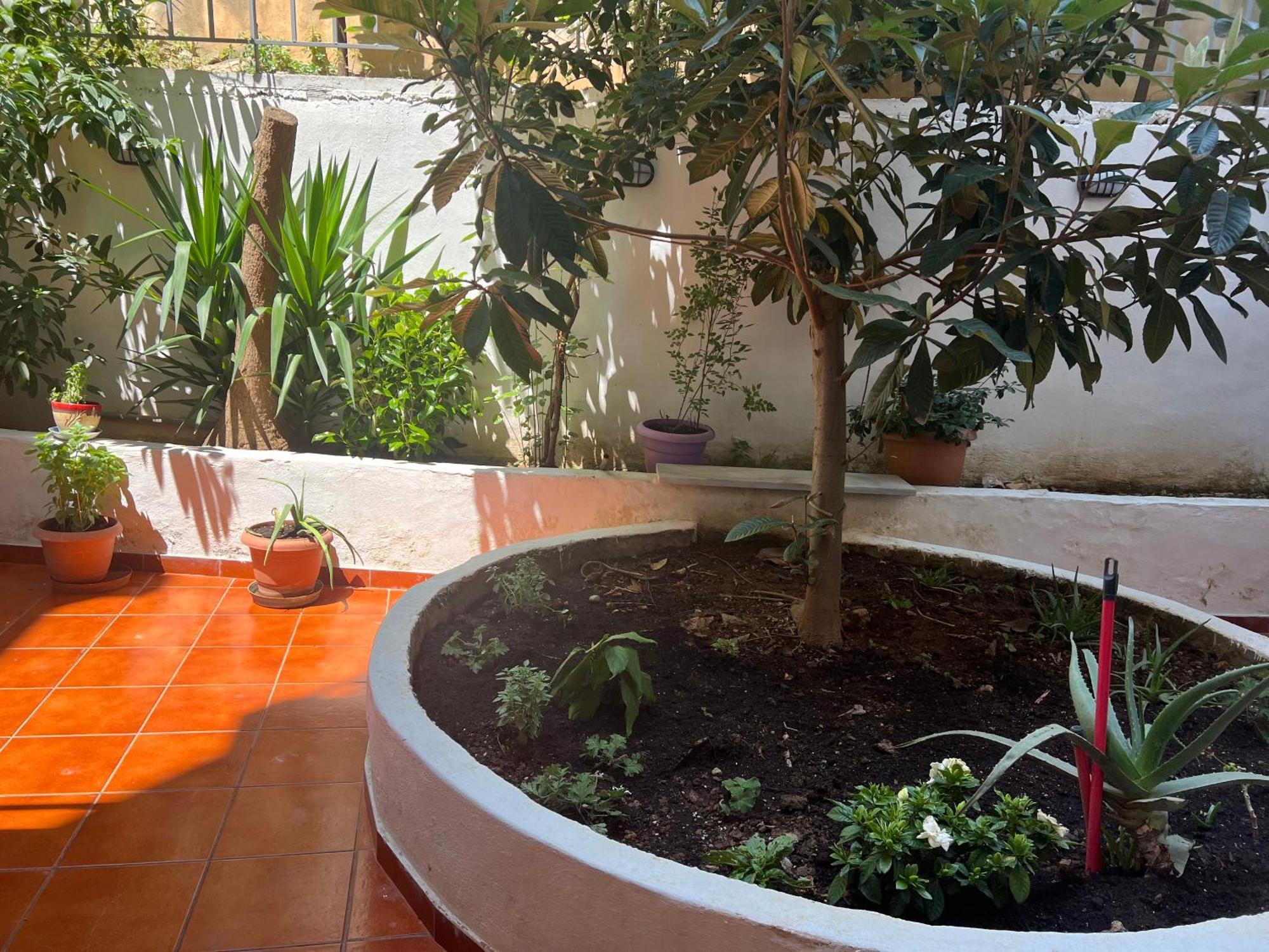 Athens Studio Екстериор снимка